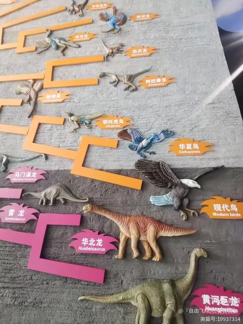 山西省地质博物馆门票多少钱？-图2