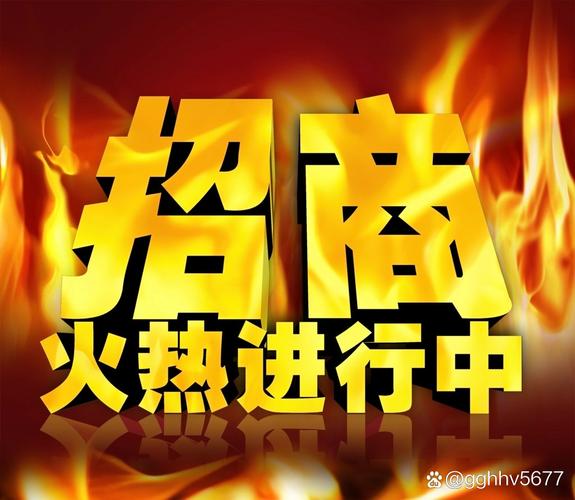 15年投资0元赚钱加盟-图3