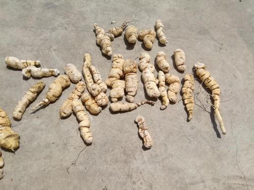 山西侯马有哪些特色特产?-图1 山西侯马有哪些特色特产?-图1