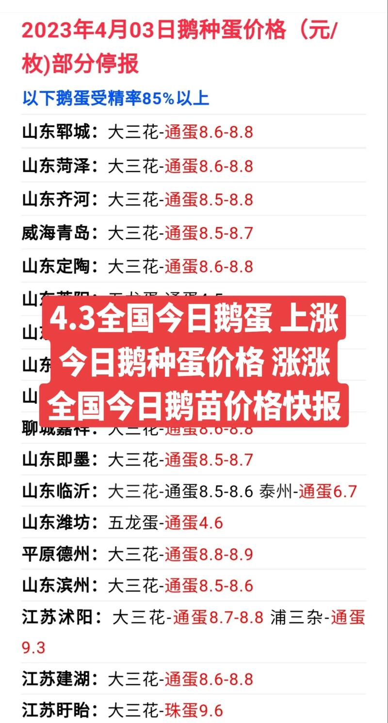 养鹅1000只投资多少？-图3