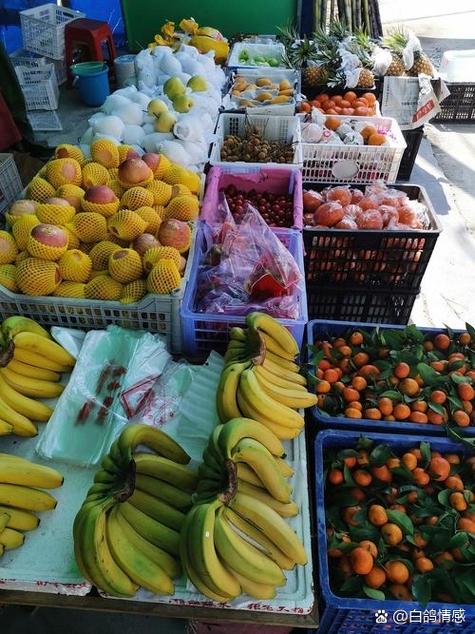 零元投资如何真挣钱？靠谱吗？-图1