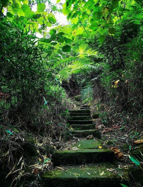 乐山西坝有哪些必打卡的游玩好去处?-图2 乐山西坝有哪些必打卡的游玩好去处?-图2