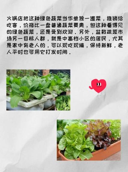 农村投资项目如何选？风险收益怎么平衡？-图2