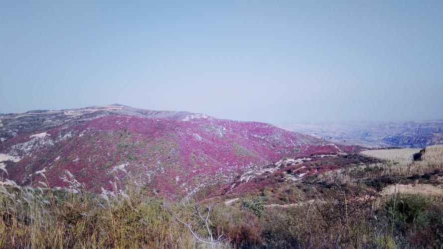 刘家垣镇有何独特风貌或故事？-图2