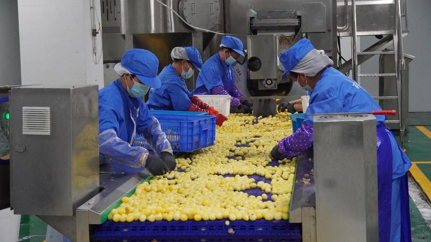 投资小的加工厂有哪些方向?-图2 投资小的加工厂有哪些方向?-图2