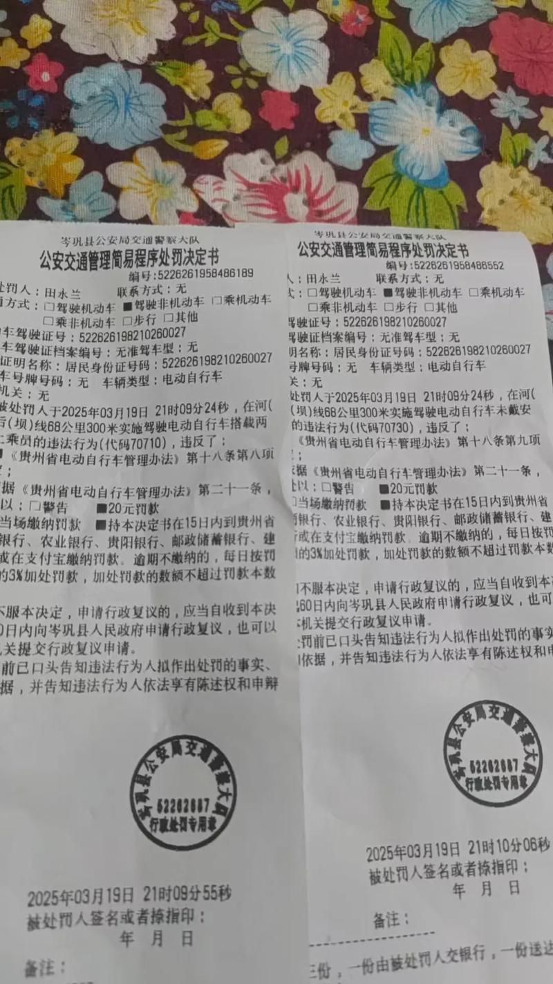 山西朔州交通违章怎么查？-图3