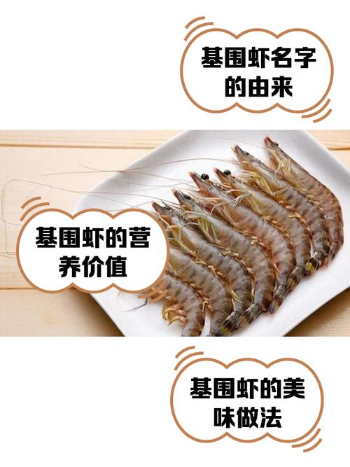 基围虾养殖要投资多少-图2