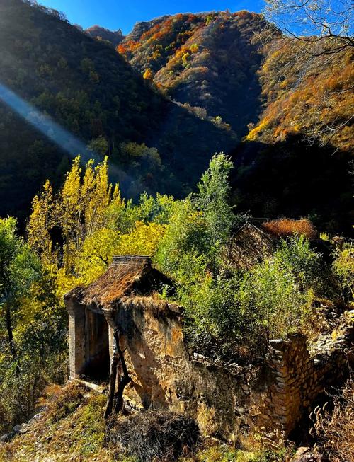 山西忻州定襄各村情况-图1