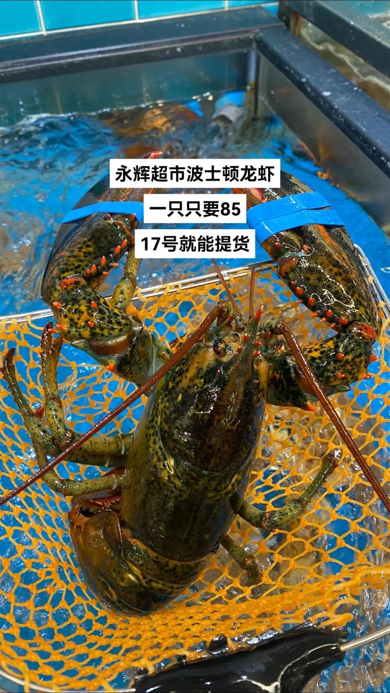 养龙虾投资门槛到底有多高？-图2