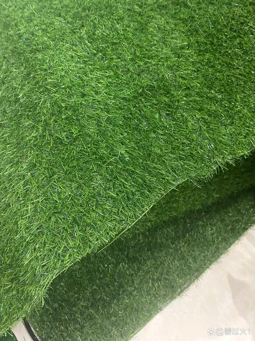 做草坪生意投资要多少钱？-图2