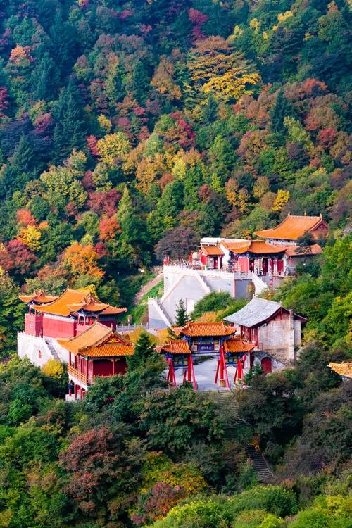 岚县有何独特魅力或发展潜力？-图2