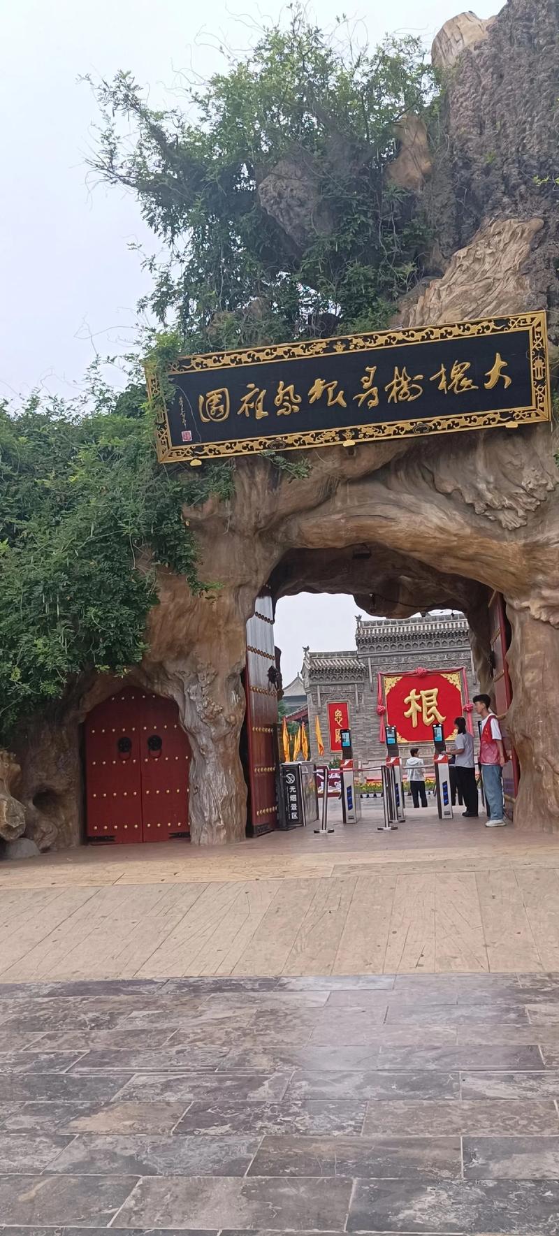 洪洞大槐树，为何是山西根祖魂？-图1