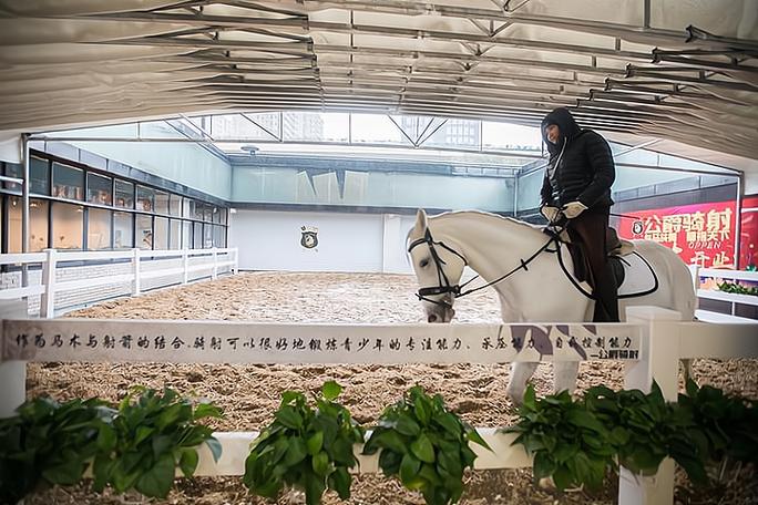 休闲小马场投资多少钱-图2 休闲小马场投资多少钱-图2