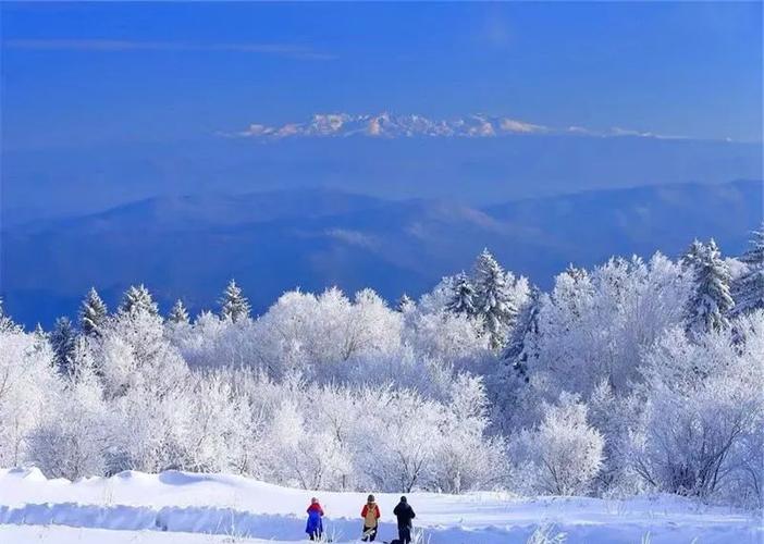 长白山西坡到老里克湖怎么走?-图1 长白山西坡到老里克湖怎么走?-图1