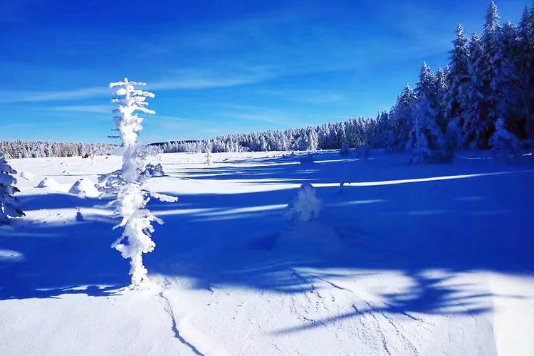 长白山西坡到老里克湖怎么走?-图3 长白山西坡到老里克湖怎么走?-图3