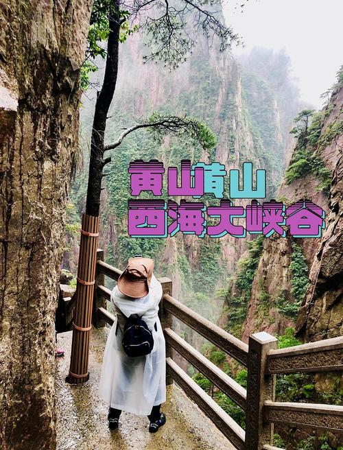 黄山西海地轨缆车门票多少钱？-图3