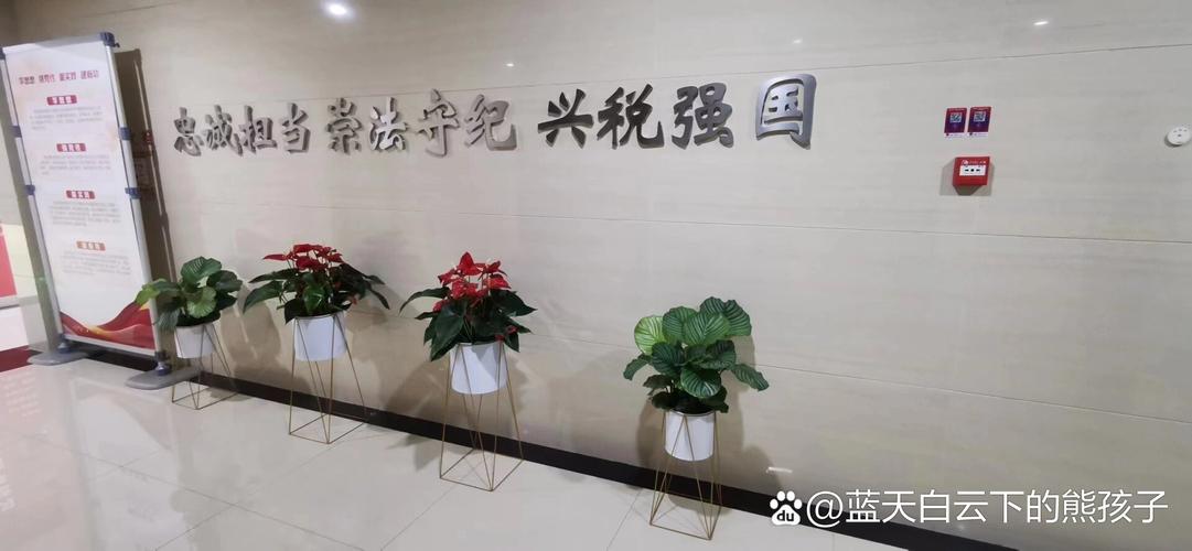 开盆栽店要投资多少钱？-图1