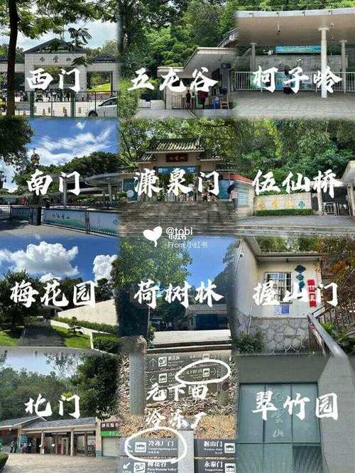 广州白云山西门具体位置在哪？-图2