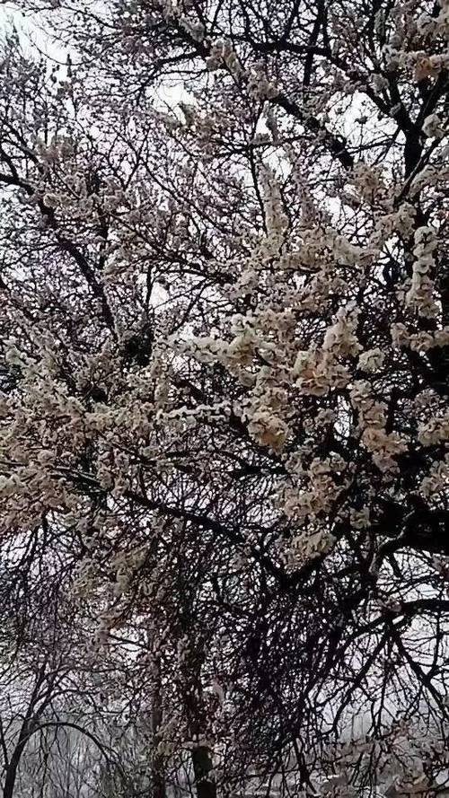 沁县今天天气怎么样？-图1