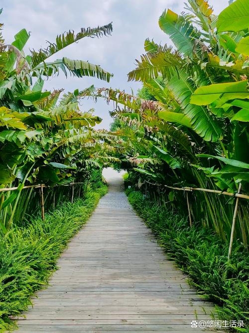 佛山西樵平沙岛值得一去吗？-图2