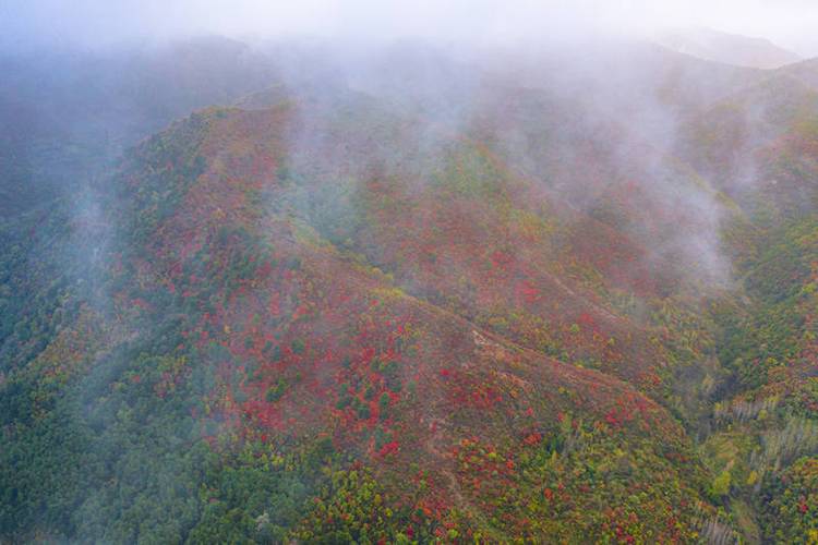 夏县今日天气如何？-图2