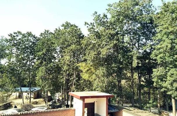山西乡宁双鹤班车车祸致因是什么？-图2