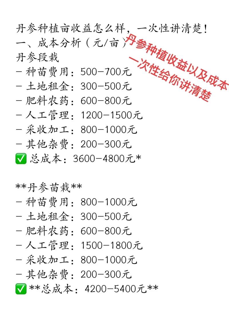 有机蔬菜种植投资多少？-图1