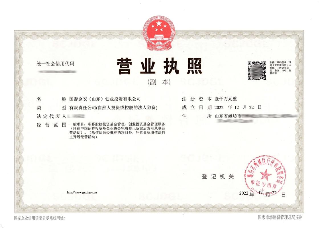 佳特公司投资方向与策略是什么？-图1