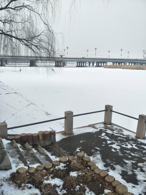 山西盐城今天下雪了吗？-图3