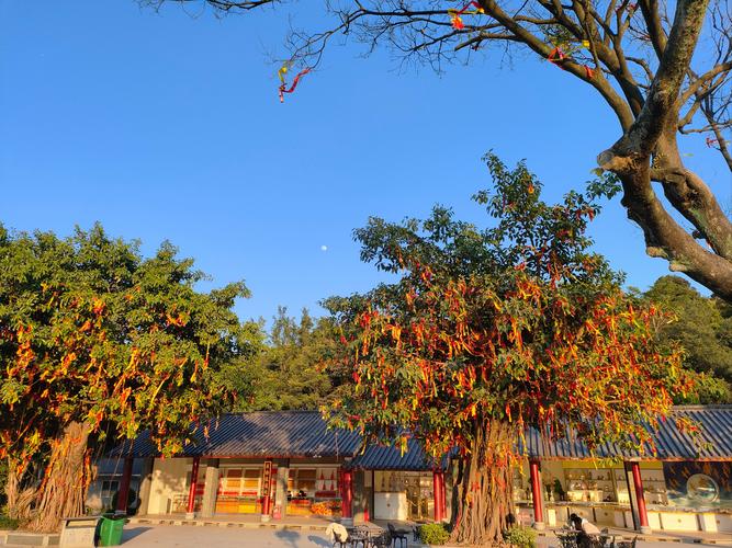 佛山西樵山有哪些必玩景点？-图2