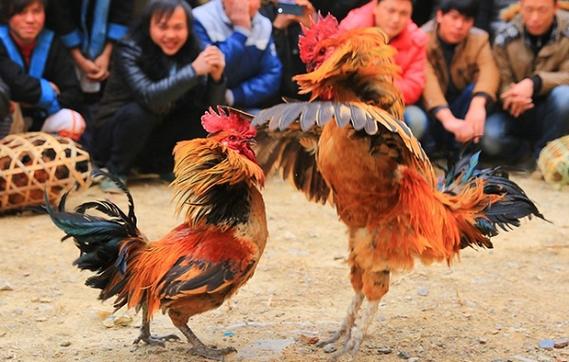 山西开锁风俗与清明网有何关联？-图3