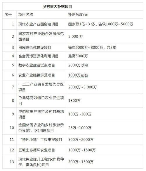 2025农村投资项目有哪些方向值得关注？-图1