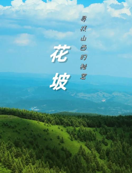 山西沁源花坡最佳观赏时间在几月？-图1