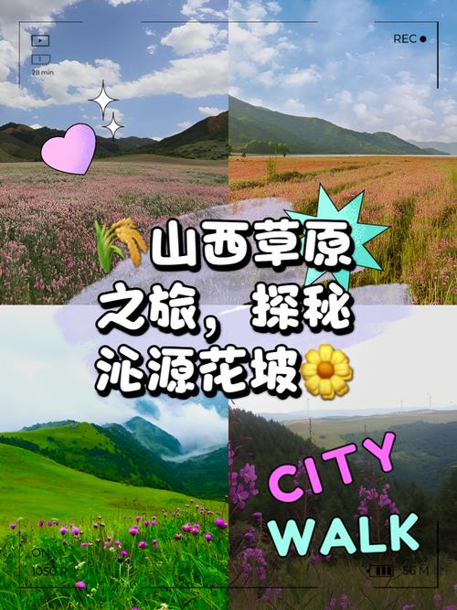 山西沁源花坡最佳观赏时间在几月？-图2