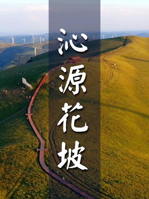 山西沁源花坡最佳观赏时间在几月？-图3