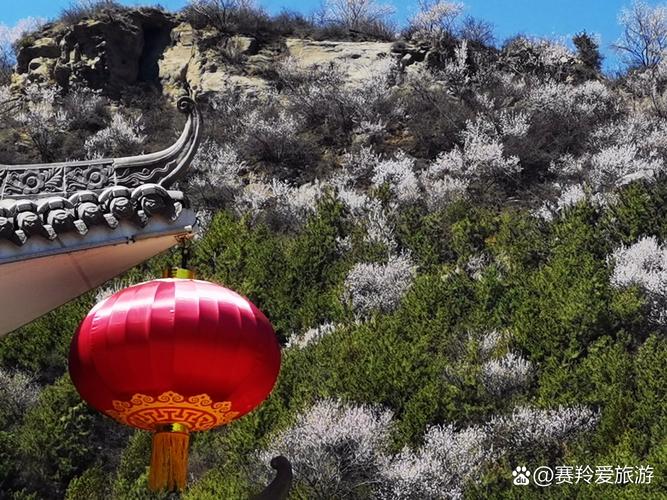 山西赏花好去处有哪些？-图2