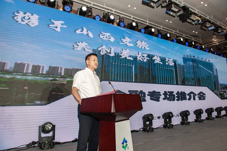 山西省旅游局局长王琳-图1