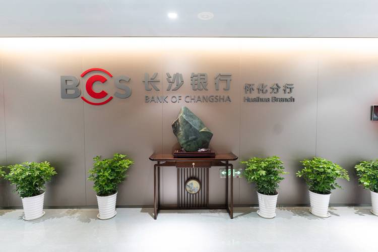 长沙银楼投资有限公司有何业务亮点？-图2