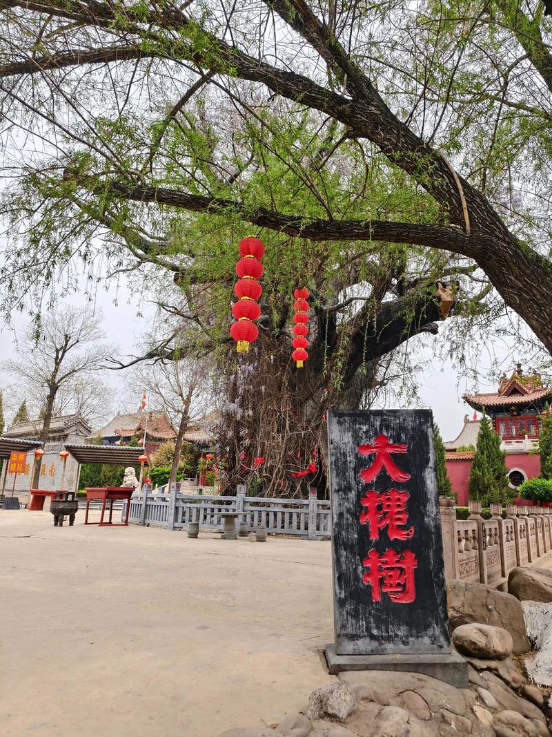 山西临汾洪洞县图片有何特色？-图1