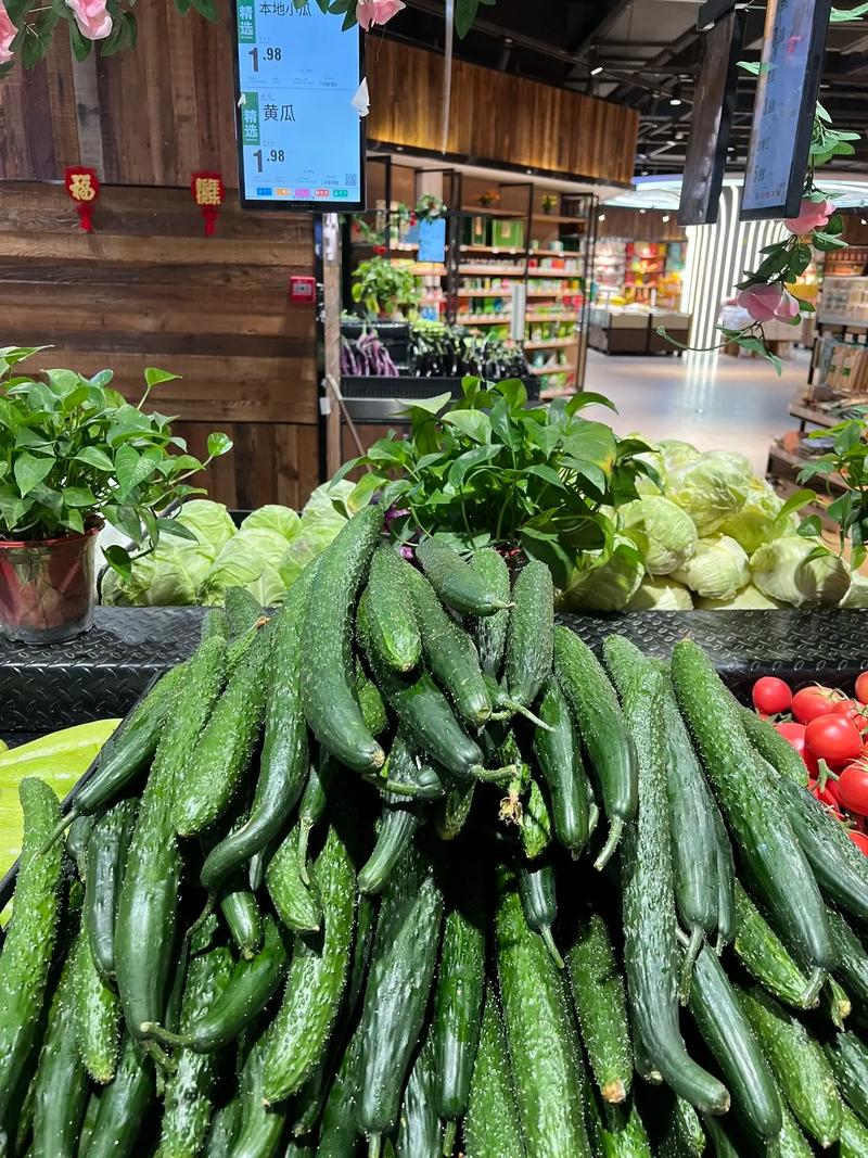 有机蔬菜店投资要多少?-图1 有机蔬菜店投资要多少?-图1