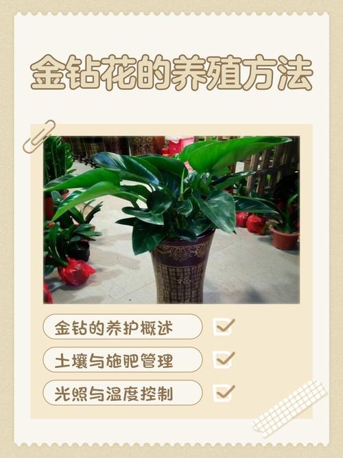 种什么投资少能见效快?-图1 种什么投资少能见效快?-图1