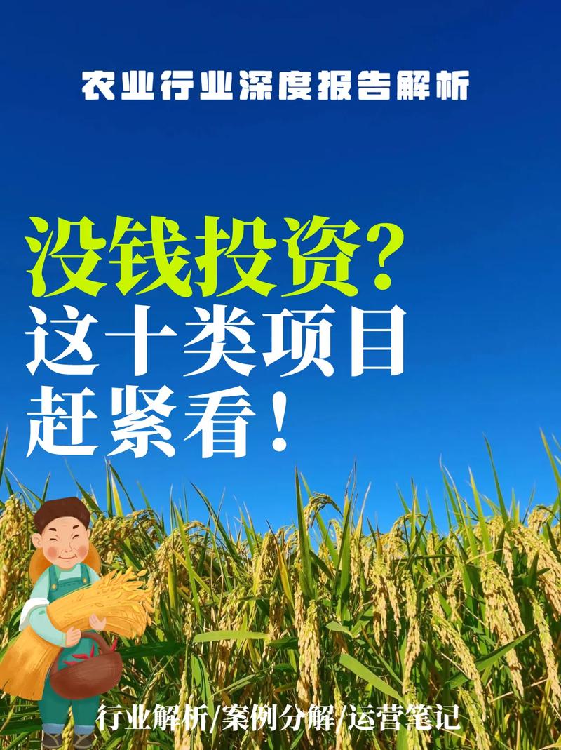 小资本创业，哪些新项目更靠谱？-图2