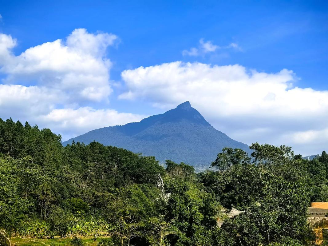山西五指山有何独特魅力与故事?-图3 山西五指山有何独特魅力与故事?-图3