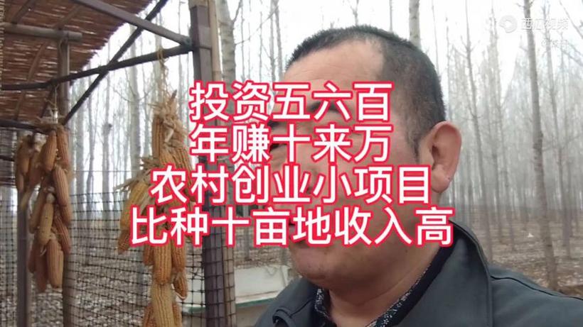 这几年哪些投资能让人致富？-图2