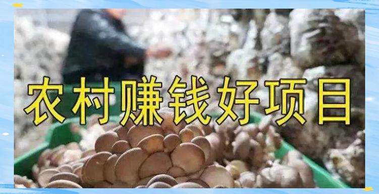 农村个人创业，哪些项目靠谱？-图2
