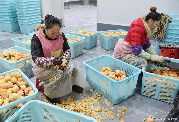 小规模办厂，什么项目最稳、最赚钱？-图1