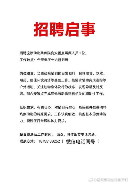 山西运城夏县招聘公告有哪些岗位？-图3