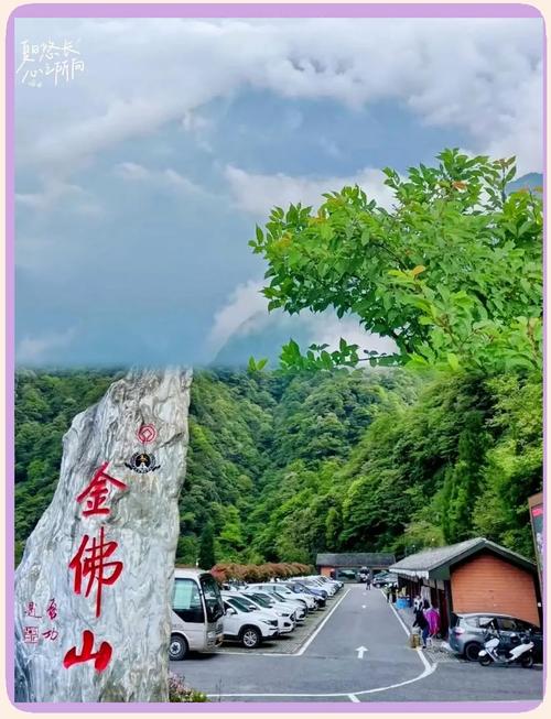 金佛山西坡与北坡，哪个更值得一去？-图3