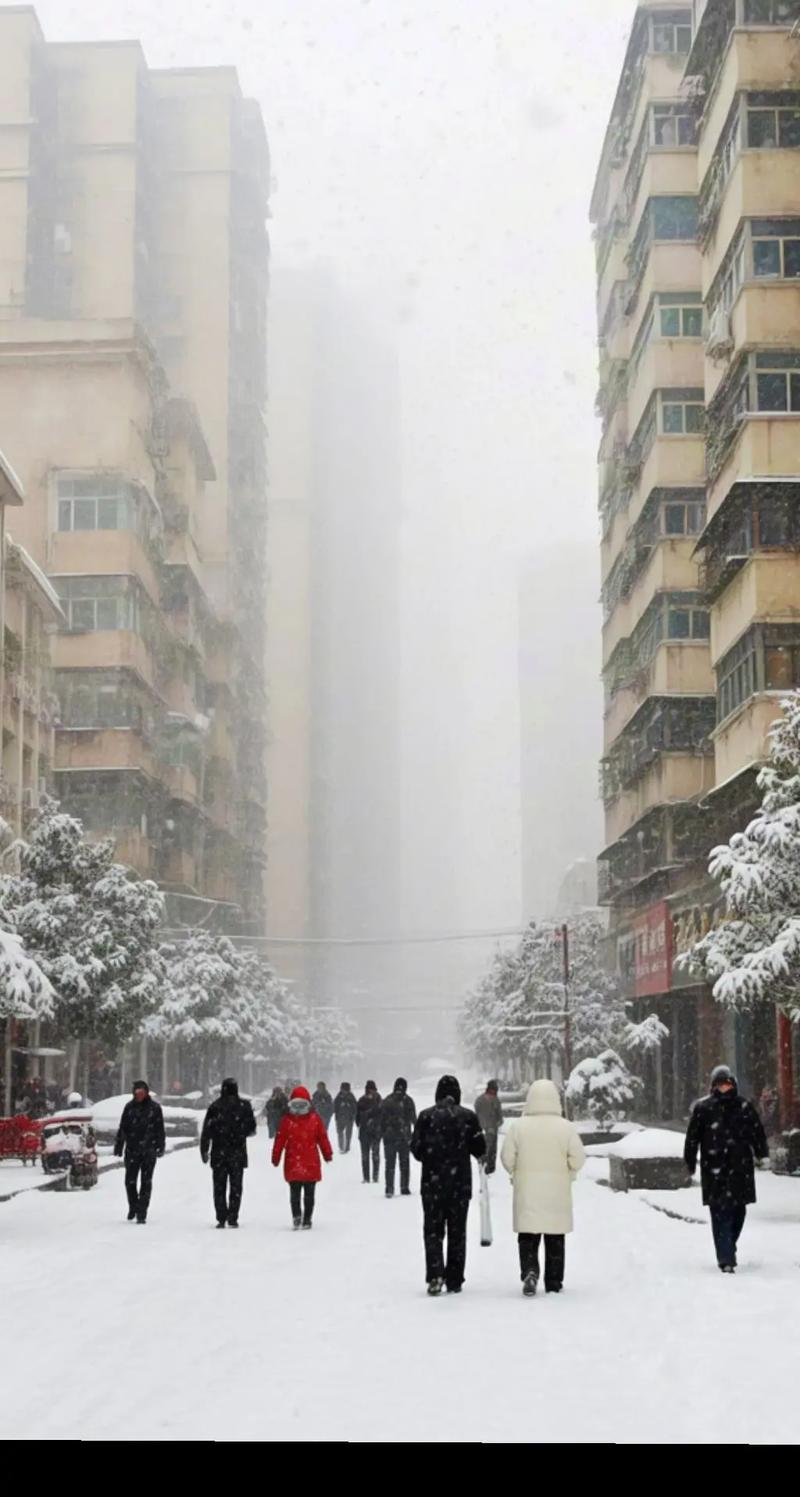 山西2025年下雪了吗？-图2