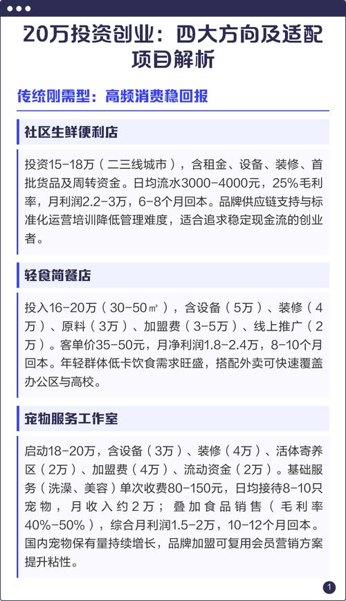 20万以内投什么项目靠谱？-图1